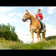 Faire un shooting photo avec animal de compagnie à Bruxelles ou en Belgique - Poseuse.be